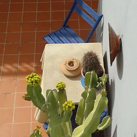Apartment Pardela *