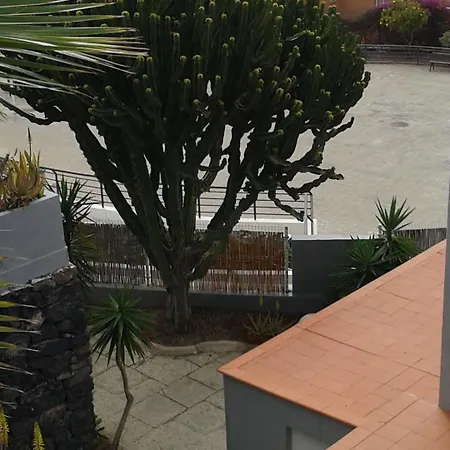Appartement Pardela *